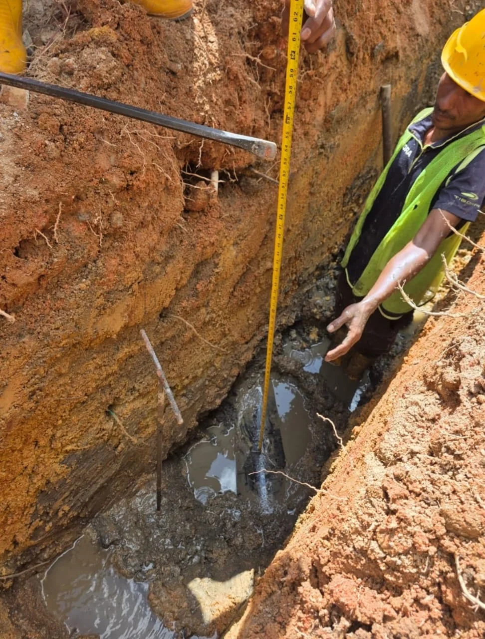 UMAP Activity - umap (2)